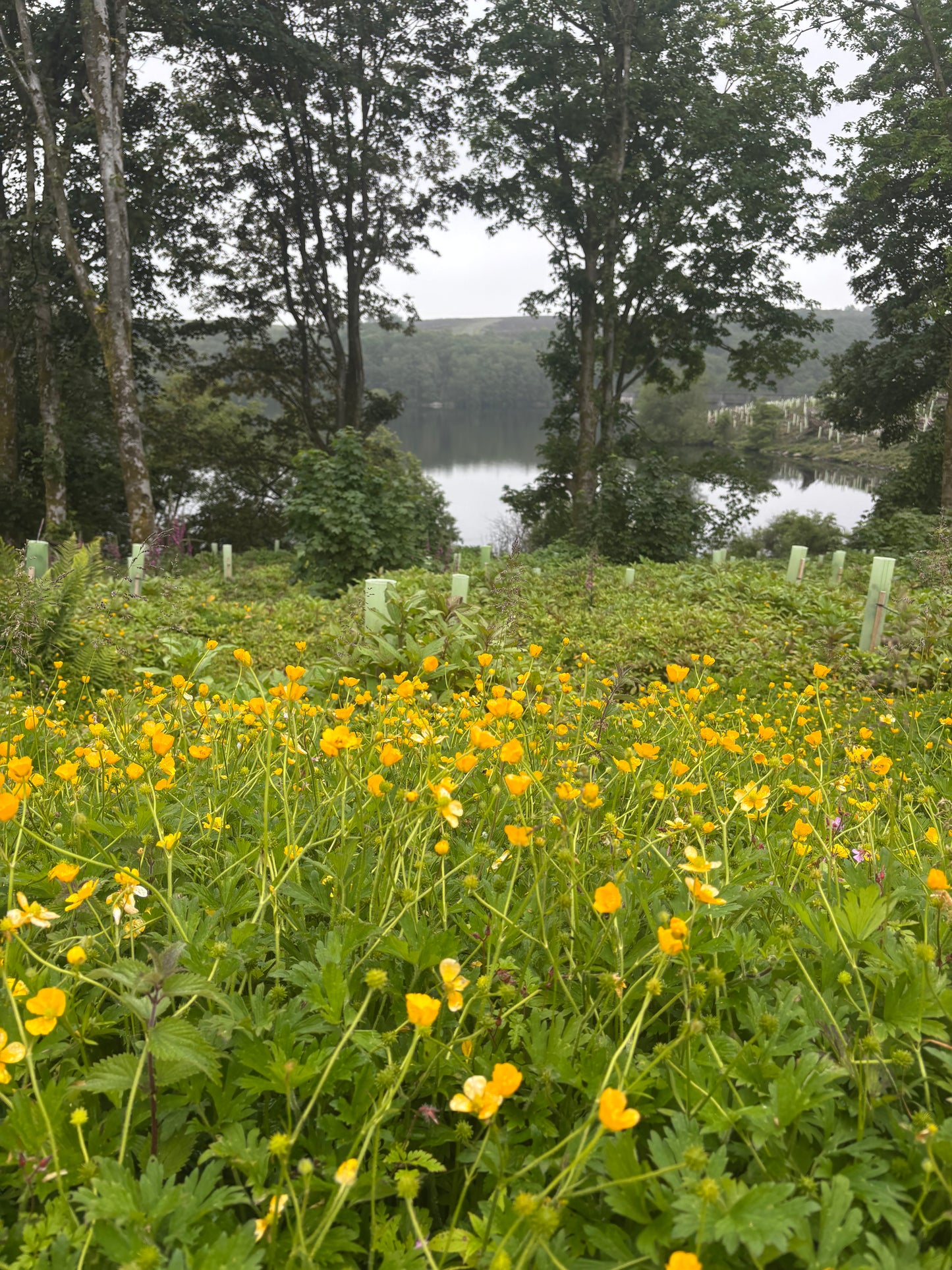 Twilight Hike Club 5 - Thruscross Reservoir N.Yorks