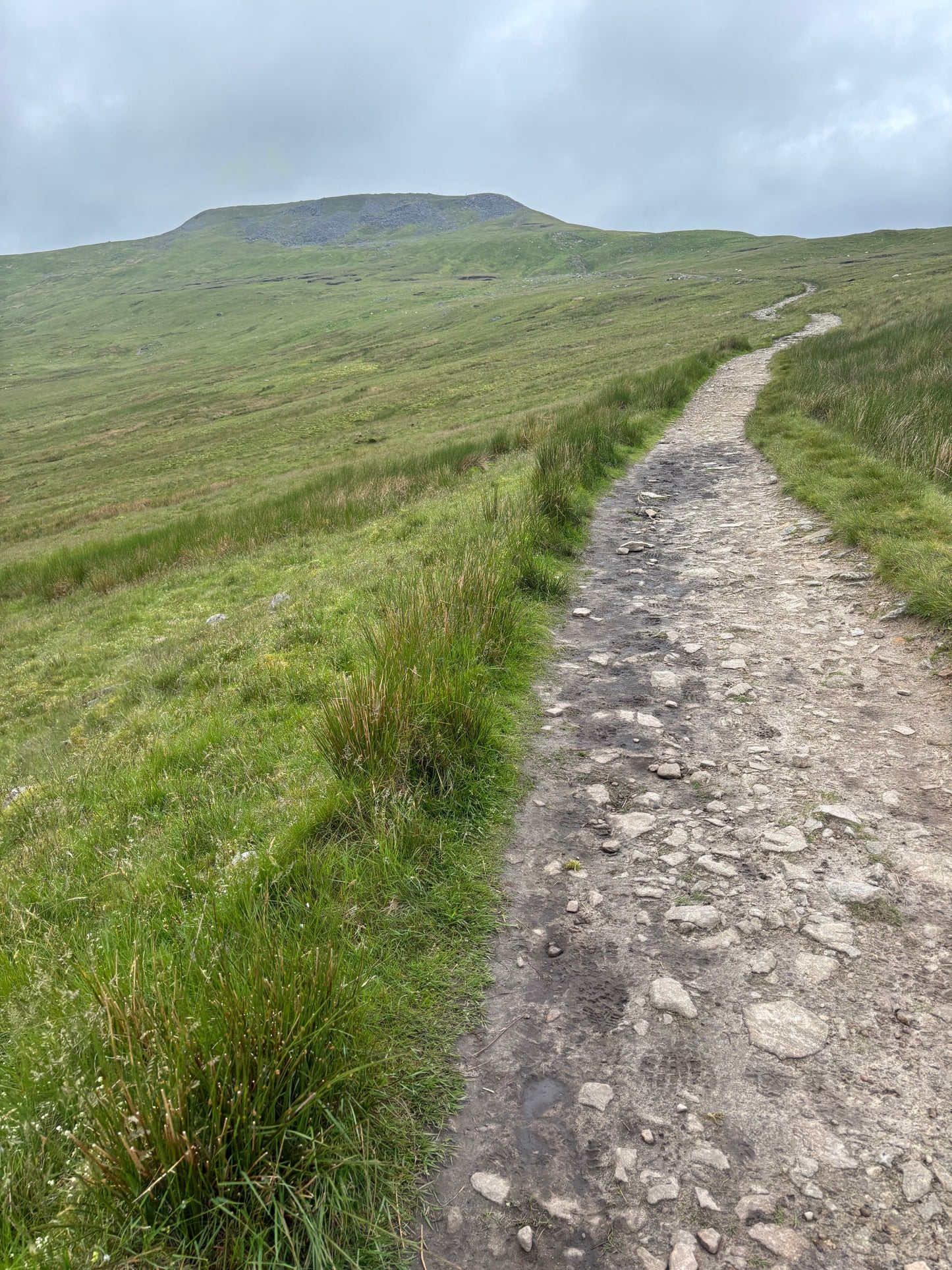 Ingleborough - Hike Club 11