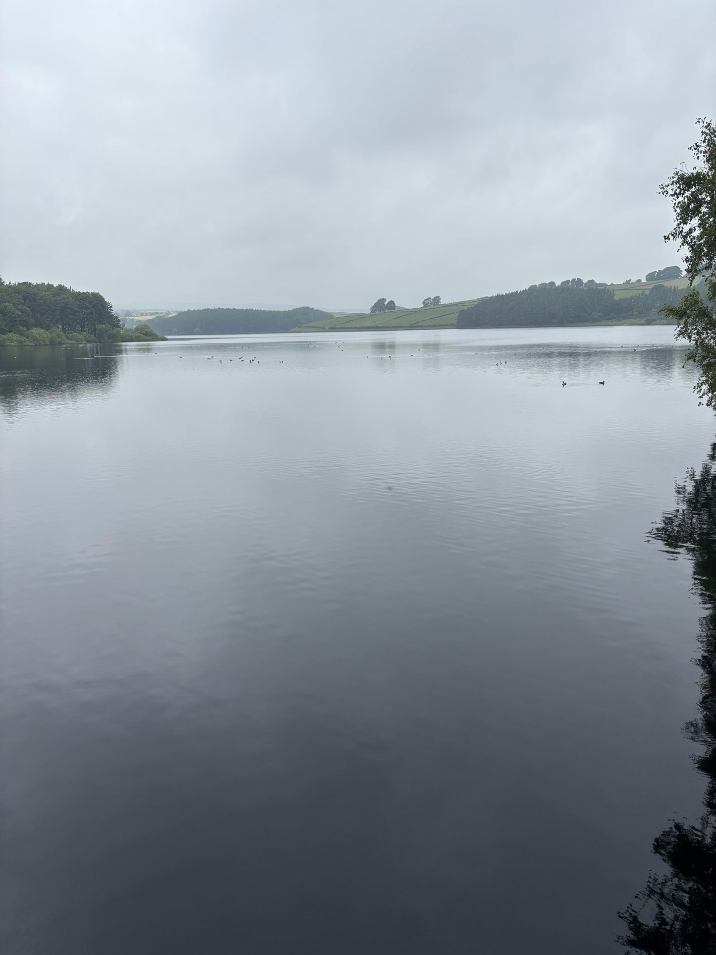Twilight Hike Club 5 - Thruscross Reservoir N.Yorks