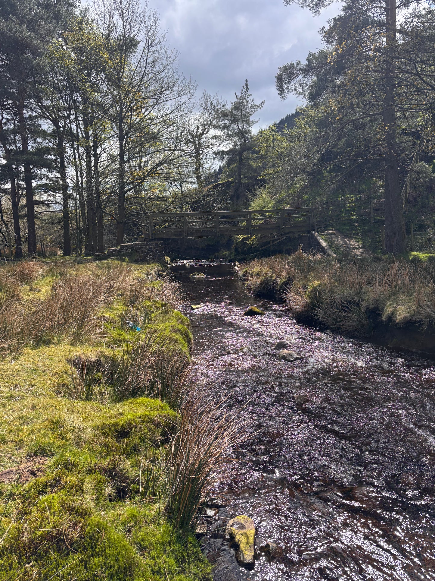 Alport Castles - Hike Club 10