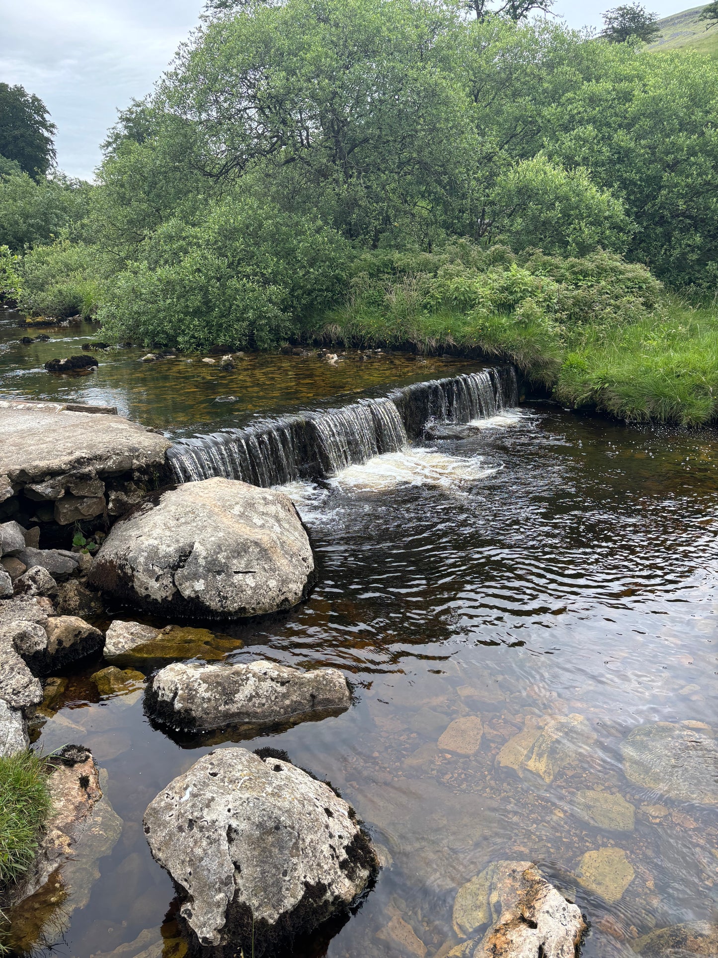 Ingleborough - Hike Club 11