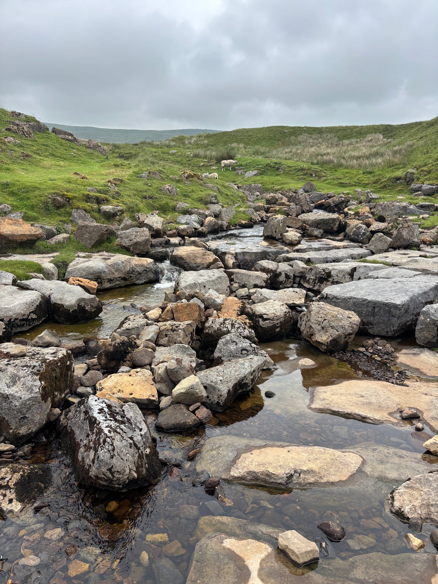 Ingleborough - Hike Club 11