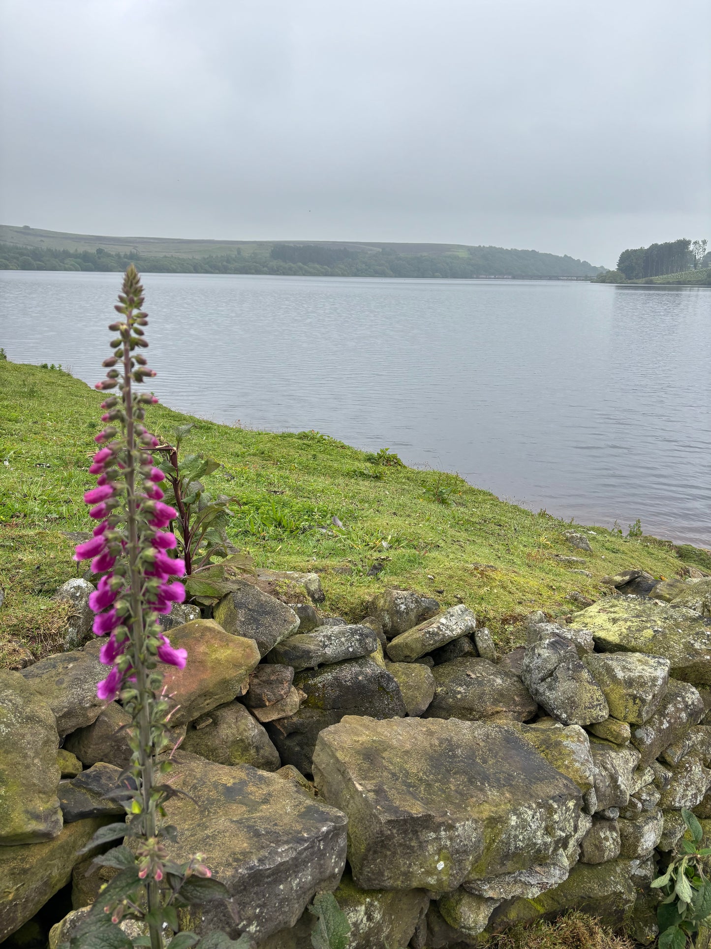 Twilight Hike Club 5 - Thruscross Reservoir N.Yorks