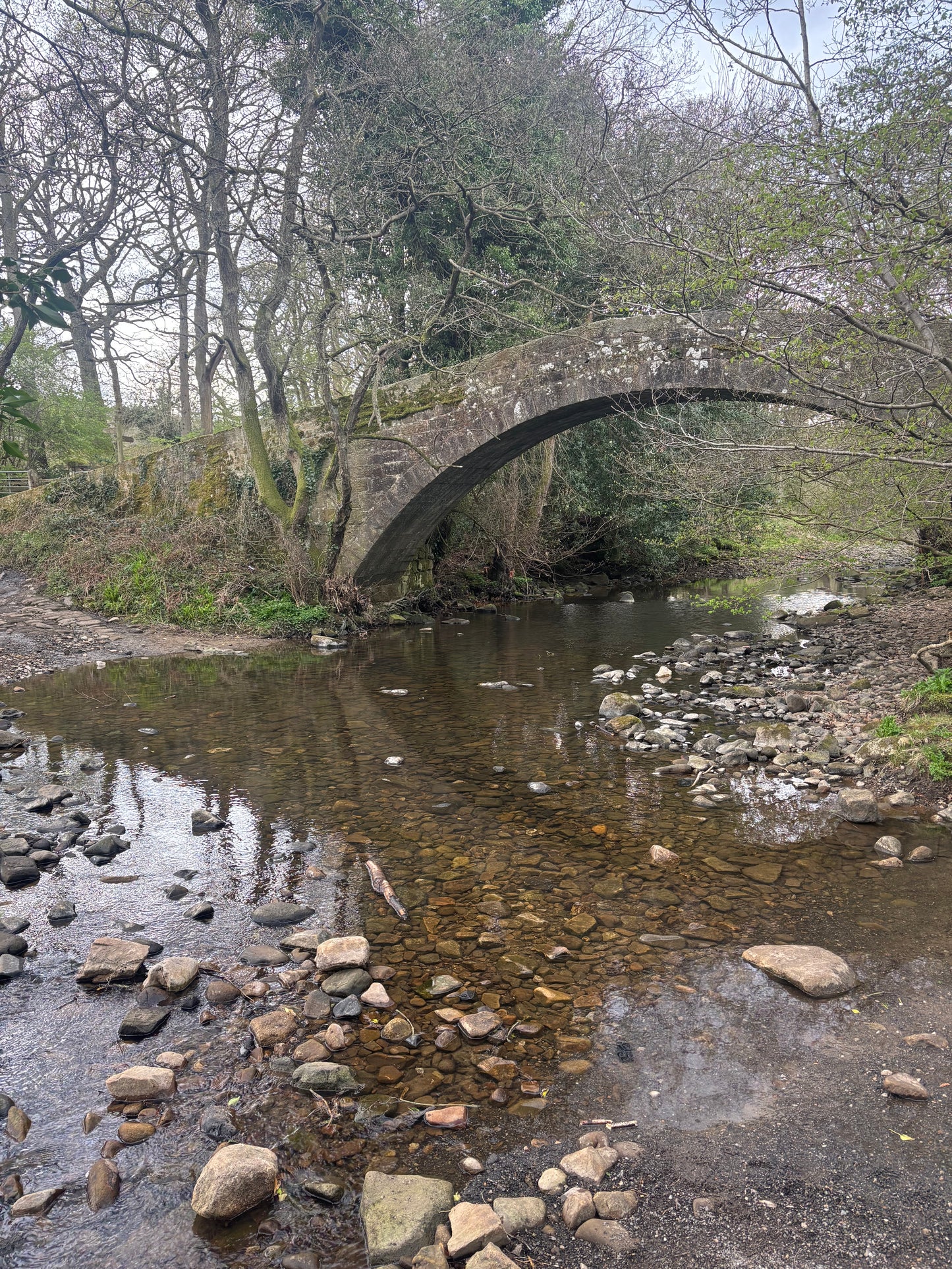Twilight Hike Club 3 - North Yorkshire